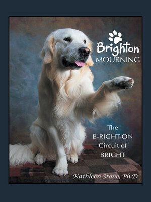 cover image of Brighton Mourning